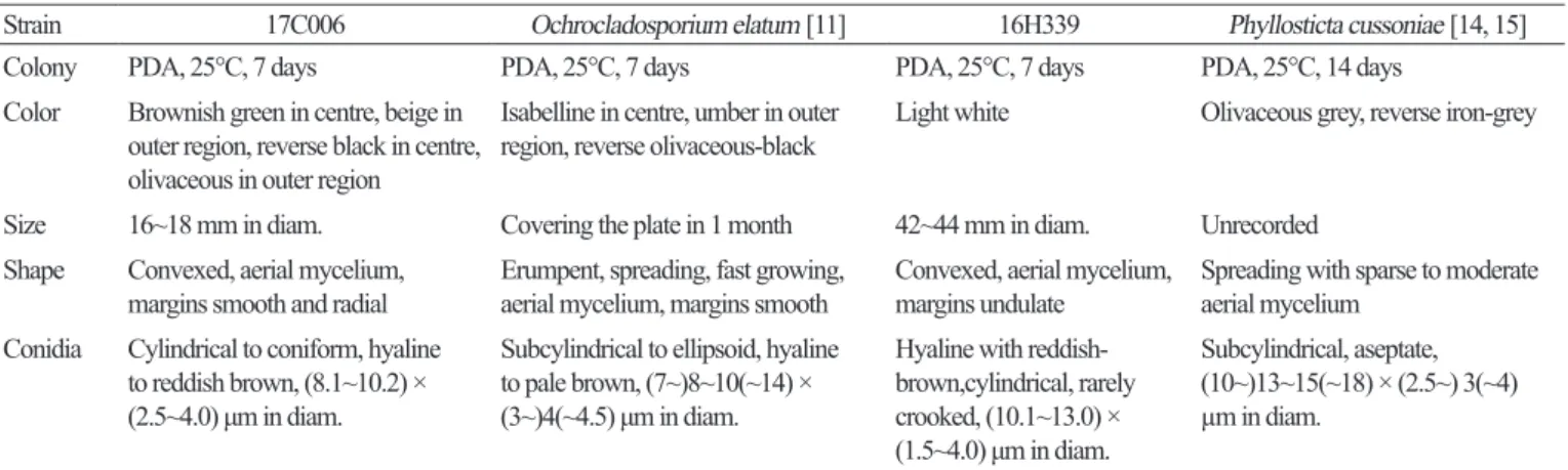 Table 2. Morphological characteristics of fungal strains isolated from Taxus cuspidata.