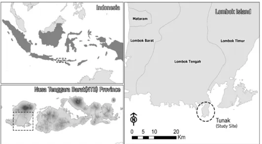 Fig. 1. Map of the Tunak in NTB province, Indonesia.