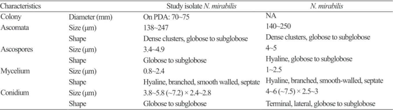 Table 1. Morphological comparison between the studied Nannizziopsis mirabilis isolate and the previously reported N