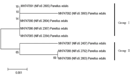 Fig. 3. Dendrogram of  Panellus edulis strains used in this study based on Universal Fungal PCR  Fingerprinting analysis with random primers