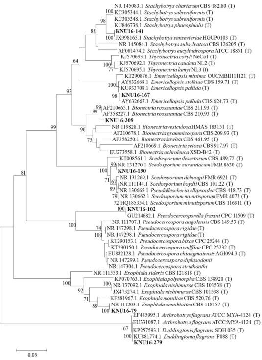 Fig. 8. Neighbor-joining phylogenetic analysis of the partial 18S-ITS1-5.8S-ITS2-28S rDNA region of KNU16-79, KNU16-102,  KNU16-141, KNU16-167, KNU16-190, KNU16-279, and KNU16-309 were obtained from field soil in Korea