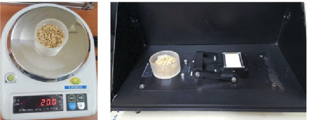 Fig. 1. Oat sample weighing (left) and measuring the reflection spectrum (right).