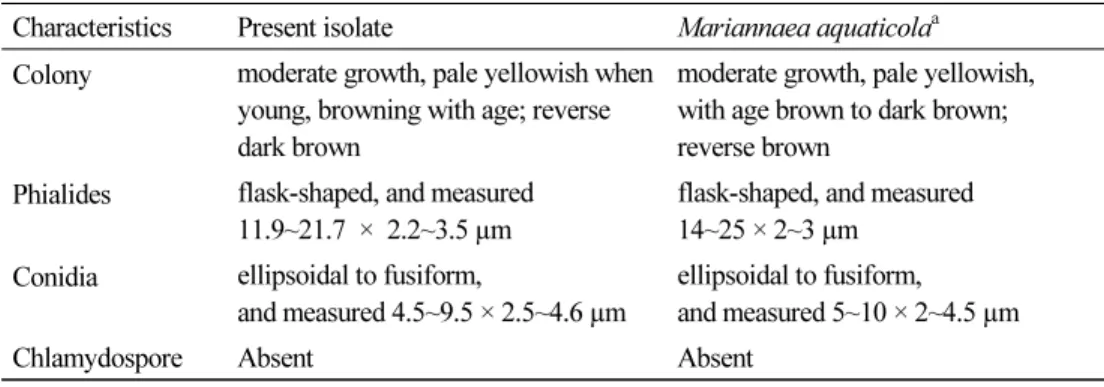 Table 4. Morphological characteristics of CNUFC-YR2-1 and Mariannaea aquaticola PDA  medium at 25°C