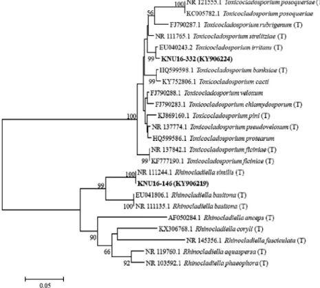 Fig. 3. Neighbor-joining phylogenetic analysis of the partial 18S-ITS1-5.8S-ITS2-28S rDNA  sequences of KNU16-146 and KNU16-332 obtained from crop field soils in Korea
