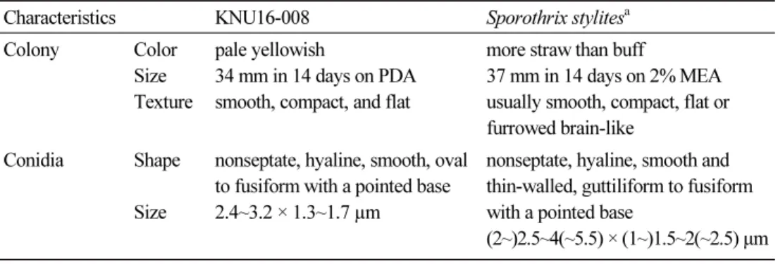 Table 2. Morphological characteristics of Sporothrix stylites isolated in this study