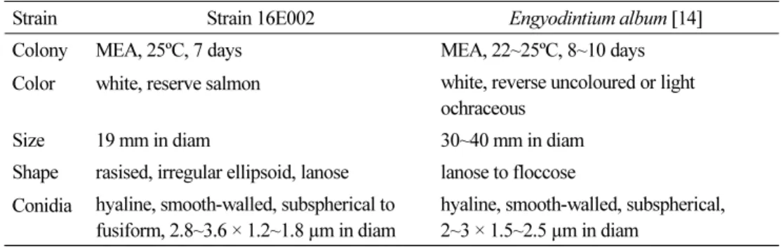 Table 1. Morphological characteristics of fungal strains isolated from this study