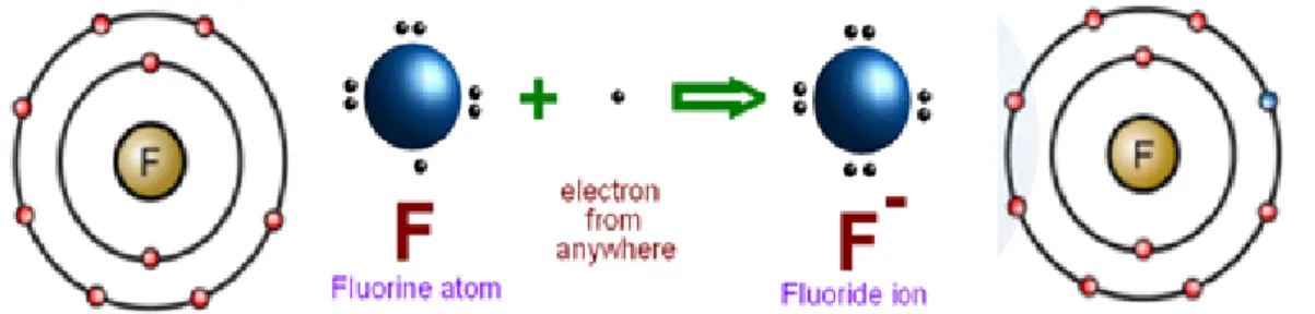 Fig. 1. Electron configuration of fluorine atom and fluoride ion.