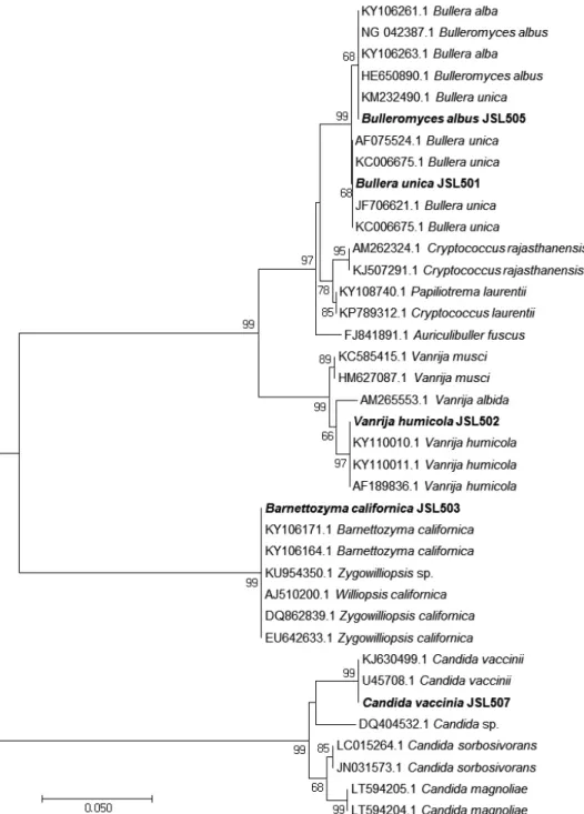 Fig. 1. Phylogenetic tree of rare yeasts isolated from Daedunsan Mountain based on the  nucleotide sequences of large subunit 26S ribosomal DNA D1/D2 region