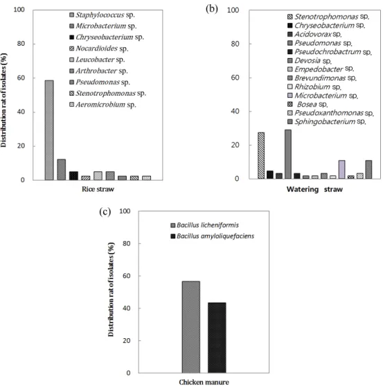 Fig. 1. Identification of several bacteria isolated from button mushroom compost on the basis of 16S rDNA analysis