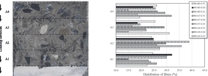 Fig. 6 Distribution of fibers in the cross-section of prismatic specimens 