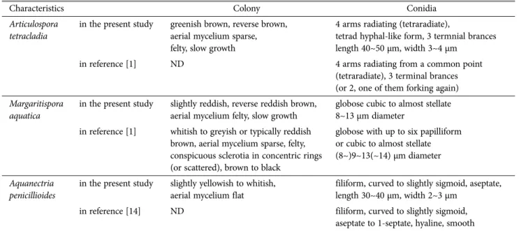 Table 1. Morphological characteristics of three aquatic fungi isolated in this study