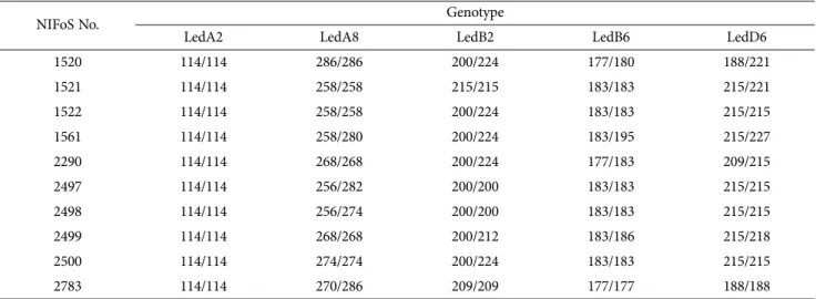 Fig. 2. Electropherogram of Led A8 microsatellite marker in the wild Lentinula edodes