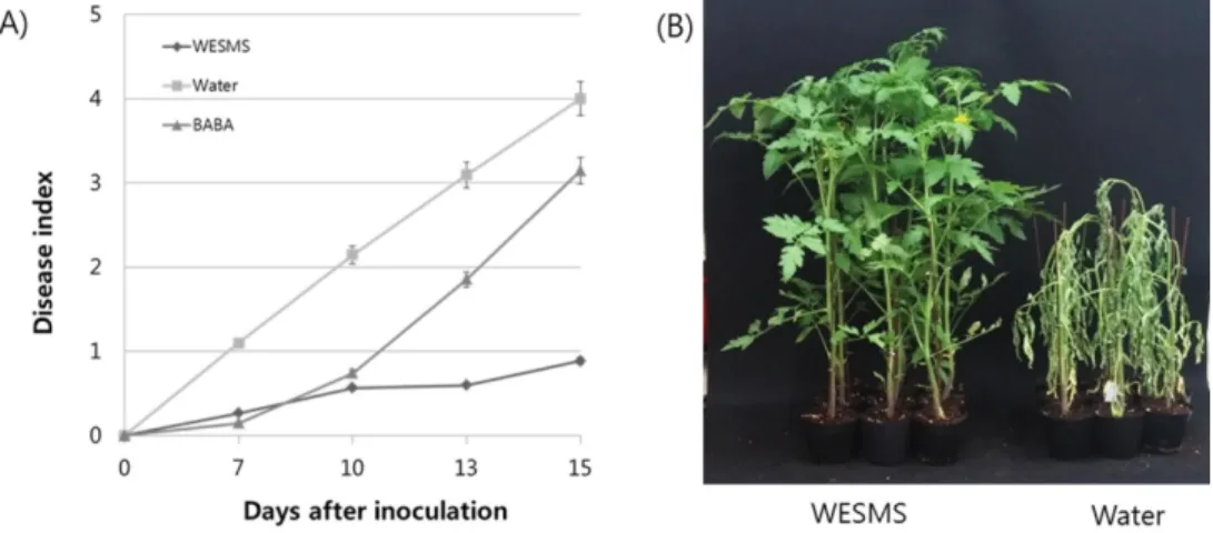 Fig. 1. Suppressive effects against of bacterial wilt disease on tomato plants treated with water extract from spent mushroom substrate (WESMS) of Pleurotus eryngii