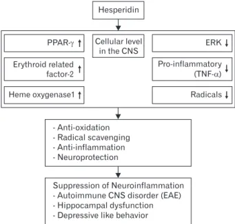 Fig. 2. Illustration of hesperidin involvement in models of neuro- neuro-inflammation