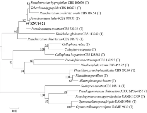 Table 3. Identification of fungal isolate to species level with reference species based on the analyses of internal transcribed spacer gene sequence