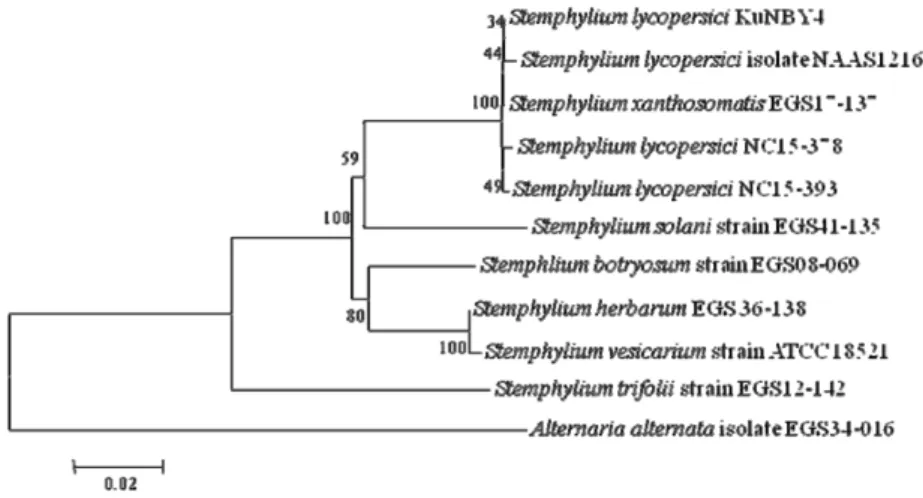 Table 3. Pathogenicity of Stemphylium lycopersici isolates on leaves of Cirsium setidens by artificial inoculation