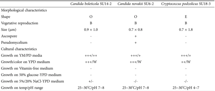 Fig. 1. Microscopic features of the three unrecorded yeasts, Candida boleticola SU14-2 (A), Candida novakii SU6-2 (B), Cryptococcus podzolicus SU18-3 (C) (scale bar = 2 µm).