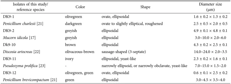 Table 1. Morphological comparison of conidia between the Korean isolates and reference species Isolates of this study/