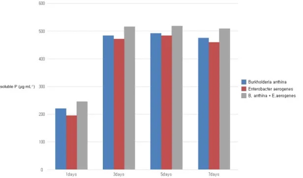 Fig. 1. Effect of single and co-inoculation of Burkholderia anthina PSB-15 and Enterobacter aerogenes PSB-16  on  phosphate solubilization