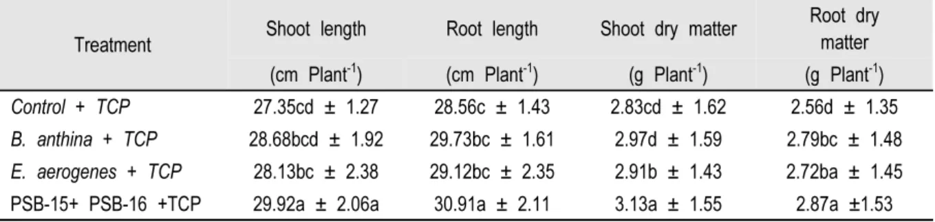 Table 3. Effect of single and co-inoculation of Burkholderia anthina PSB-15 and Enterobacter aerogenes PSB-16  on the growth of green gram plants.