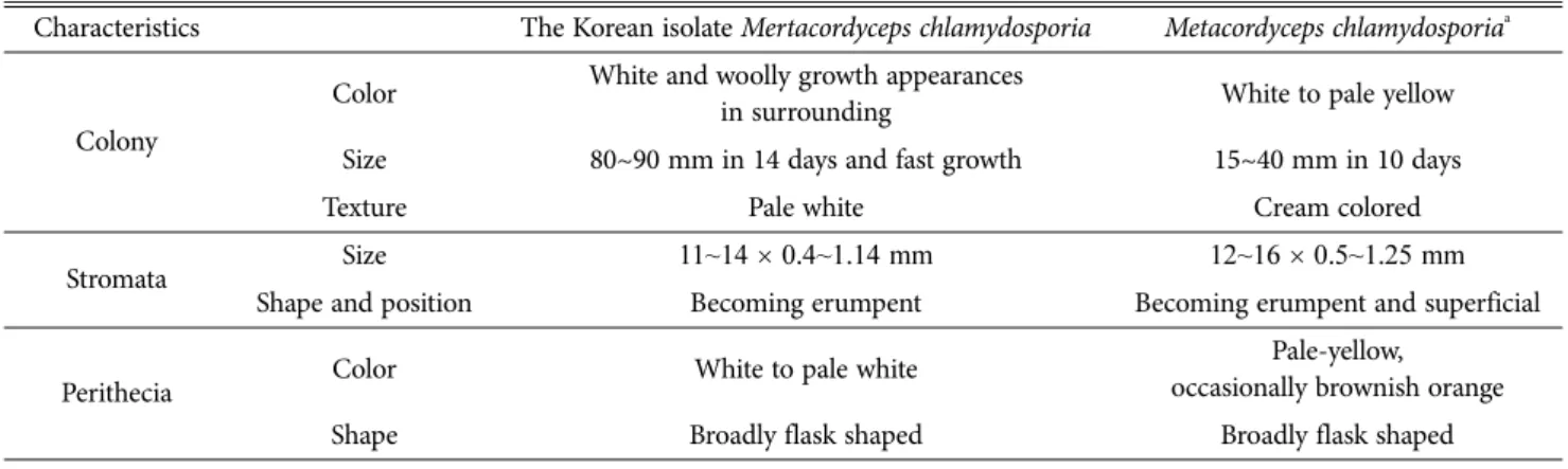 Fig. 1. Morphological characterization of Metacordyceps chlamydosporia KNU14-22 using a compound microscope and scanning electron  microscope  (SEM)