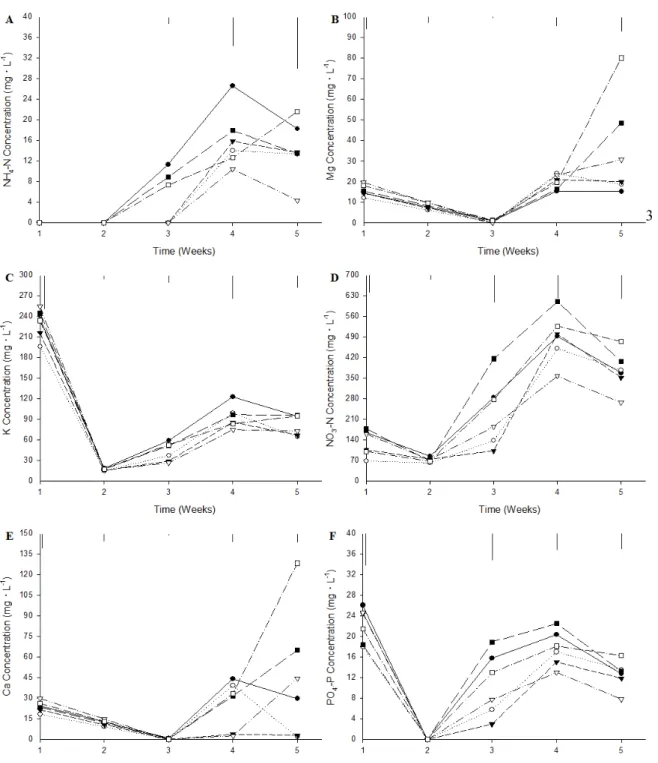 Fig. 5. Changes in the concentration of macro nutrients in soil solutions of CD+GAPB medium during cultivation of  red leaf lettuce as influenced by various levels of dolomitic lime as a pre-planting fertilizer