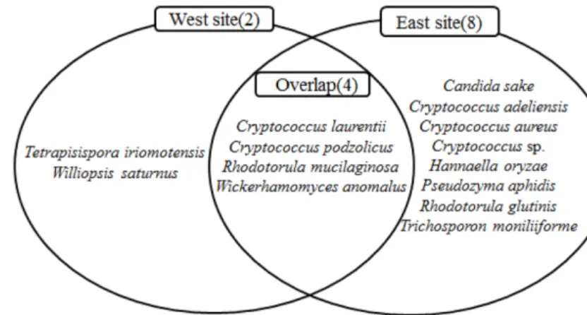 Fig. 2. Yeast diversity of soil samples collected from Jeju Island, Korea.