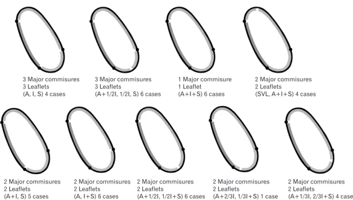 Table 1. Pattern and characterization of valve leaflets