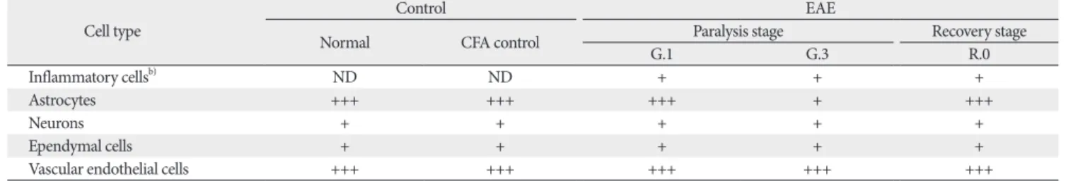 Table 1. p-GSK-3β immunoreactivity in the spinal cords of control and EAE-affected rats a)