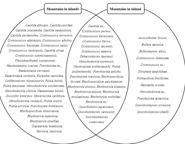 Table 1. Ranking of yeasts isolated from mountains in islands and inland, Korea