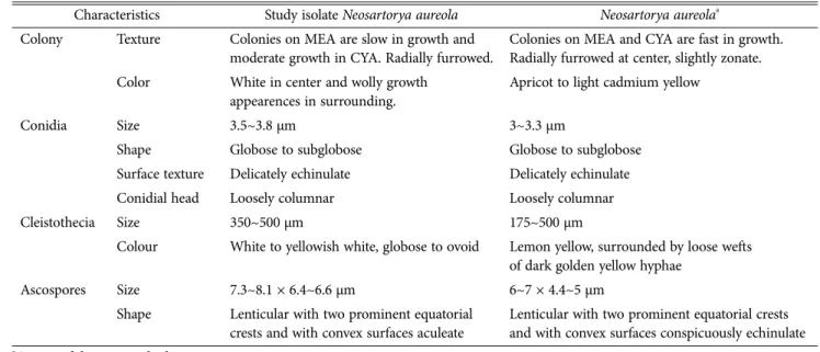 Fig. 1. Neighbor-joining phylogenetic analysis of Neosartorya aureola  KNU14-7  partial 18S-ITS1-5.8S-ITS2-28S rDNA region sequence  obtained  from  crop  field  soil  in  Korea