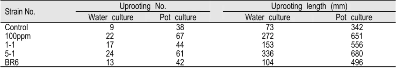 Table  2.  Estimation  of  IAA  produced  from  the  isolated  strains  by  HPLC.