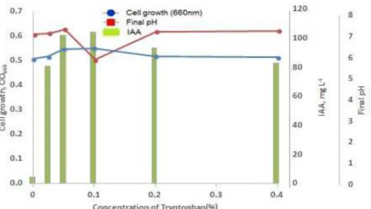 Fig.  6.  The  effect  on  concentration  of  L-tryptophan  (%)  on  IAA  production  from  Enterobacter  aerogenes  5-1.