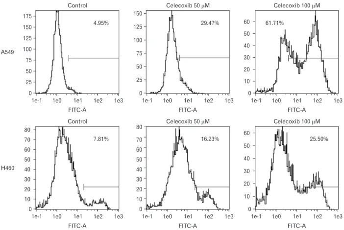 Fig. 2. Flow cytometry analysis for celecoxib-induced apoptosis on A549 and H460. A549 and H460 were treated with 50 and 100 μM of  celecoxib for 16 hours