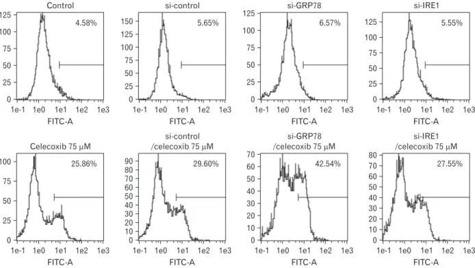 Fig. 6. Analysis for celecoxib-induced apoptosis after transfection of siRNA for glucose-regulated protein 78 (GRP78) or IRE1 in A549
