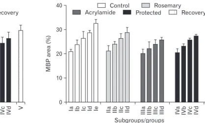 Fig. 10. Myelin basic protein (MBP)  neurofilament (×1,000) immune-stained  lumbar anterior horn trans verse  sec-tions in in rats with ad vance ment of  age