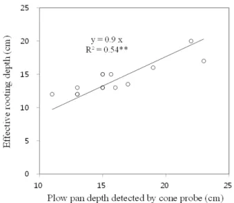 Fig. 4. The relationship between plow pan depth and effective  rooting depth of upland crops.