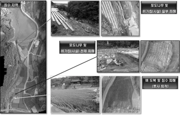 Fig. 6. Rapid analysis of UAV image in case of agricultural disaster (Park and Park, 2015).