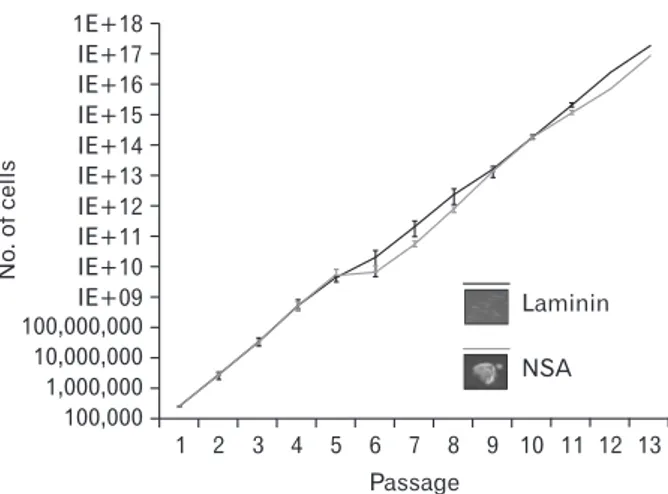 Fig. 1. The number of cells obtained in vitro over multiple passages of  glioblastoma cell lines grown in neurosphere assay (NSA) and adherent  culture conditions (n=4 each group)