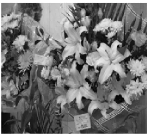 Fig. 12. Lily market in China. Fig. 13. Lily product in Russia. 중국은 절화백합의 연간 생산량이 약 15억본 정도이며,  재배면적은 7,500 ha 정도인데, 향후 세계 화훼의 생산기 지 역할과 대량 소비처로의 역할을 주목할 필요가 있다