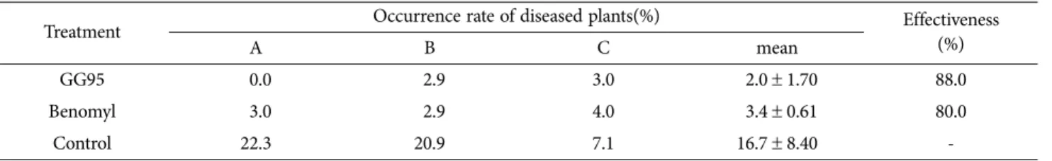 Table 6. Disease control effect of B. subtilis GG95 on sclerotinia rot in the greenhouse