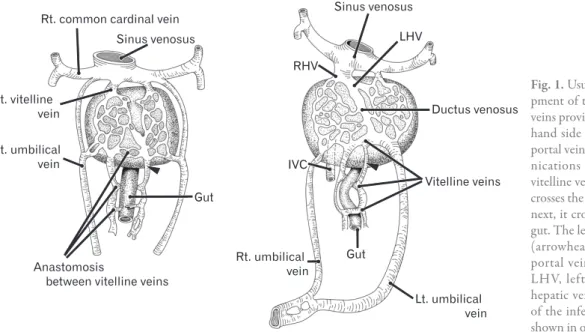 Fig. 1. Usual diagrams showing develo­