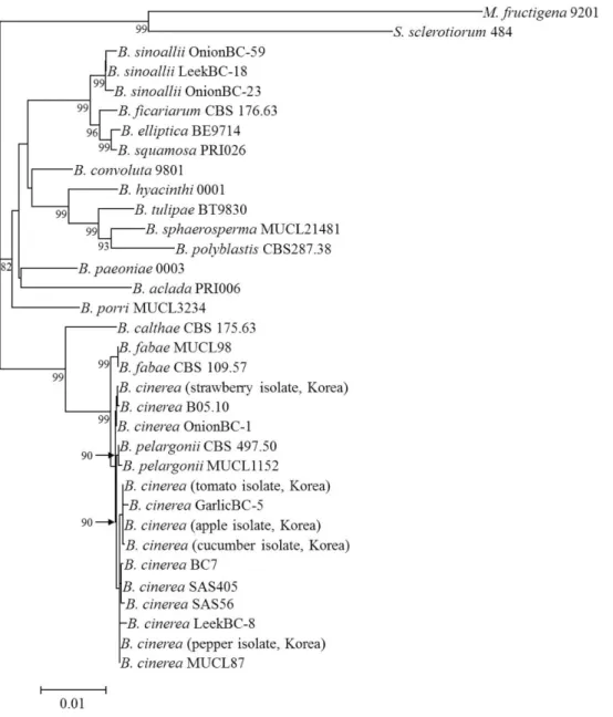 Fig. 3. Phylogenetic analysis constructed by the neighbor-joining method based on combined RPB2, HSP60, G3PDH sequence data