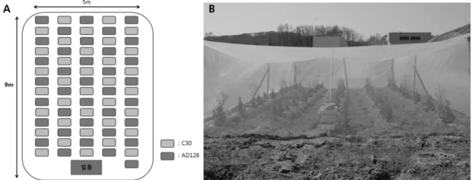 Fig. 1. (A) Experimental design of field trial. Yellow and blue squares indicate GM cabbages (Line C30) and non-GM cabbages  (Line AD126), respectively