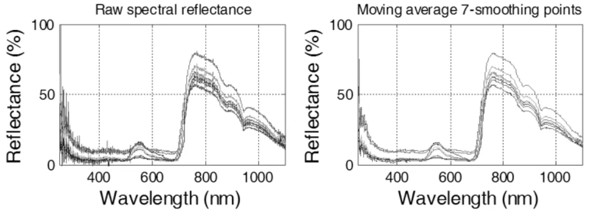 Fig. 2. The effect the moving average method with 7 smoothing points on example cabbage leaf spectra.