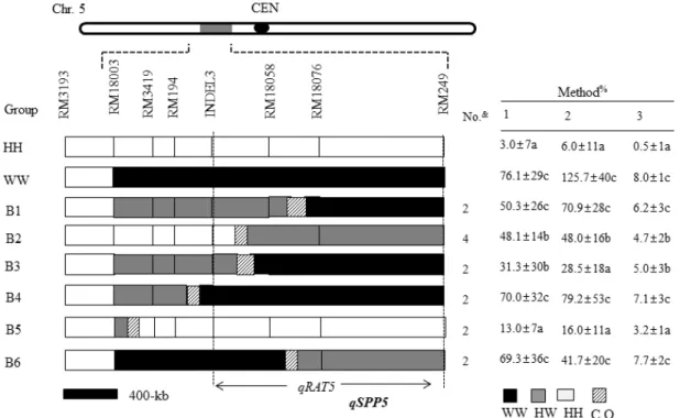 Fig. 2. Graphical genotypes of the BC 5 F 3  lines that were used for the substitution mapping of qRAT5