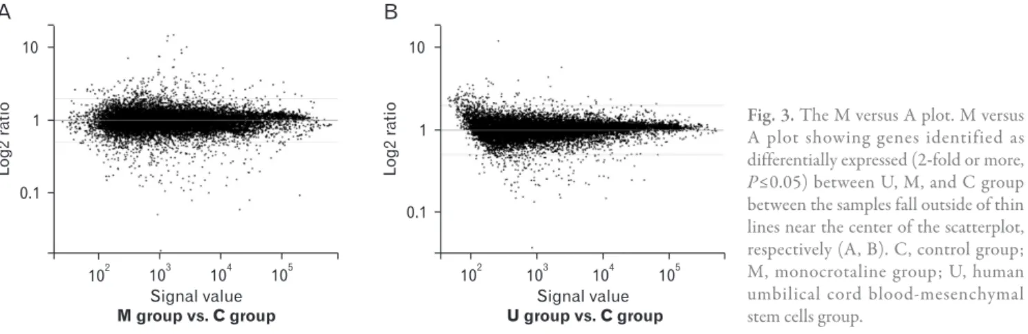 Fig. 3. The M versus A plot. M versus  A plot showing genes identified as  differentially expressed (2-fold or more,  P≤0.05) between U, M, and C group  between the samples fall outside of thin  lines near the center of the scatterplot,  respectively (A, B
