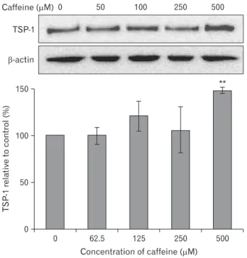 Fig. 7. Effect of adenosine receptor agonists on thrombospondin-1  ( TSP-1) expression