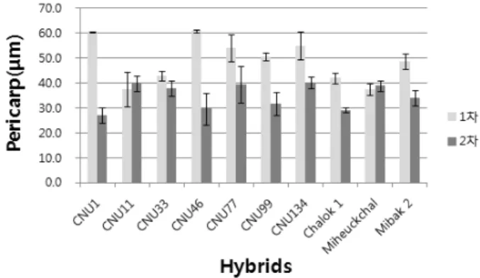 Fig. 2. Pericarp thickness of waxy corn hybrids cultivated at  the green house in 2012.