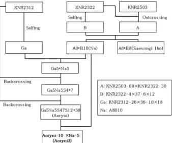 Table 1. Morphological and fruiting characteristics of the crossed hybrids between monokaryon of Aeryni (Ga5Na5KNR2312- (Ga5Na5KNR2312-47-12×KNR2312-38)-and Na (A8B10) strain